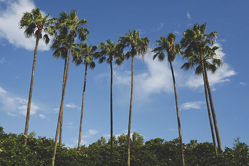 Image by Drew Coffman