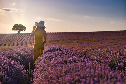 Image by Nikolay Hristov