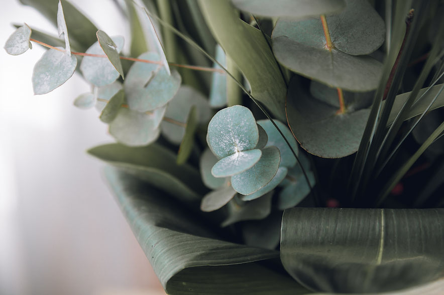 Image by Bianca Ackermann