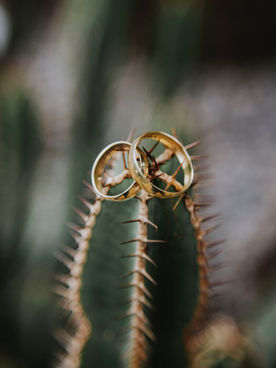 lasting marriage.
