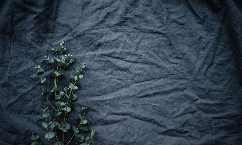 Image by Annie Spratt