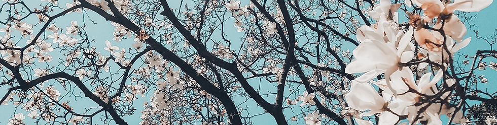 Image by Meriç Dağlı