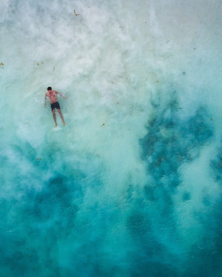 Image by Spencer Watson