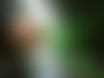 Uma criança pesa o equivalente a um elefante em uma colisão de carro?