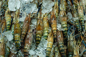 Image by Arina Ertman