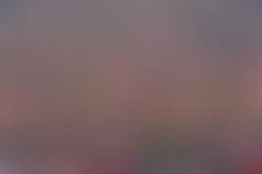 Office Closed in Observance of Memorial Day