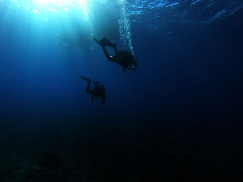 Image by Jacob Waldrop