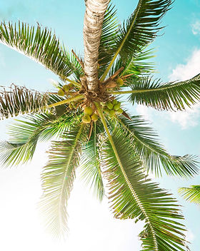 Image by Gerson Repreza