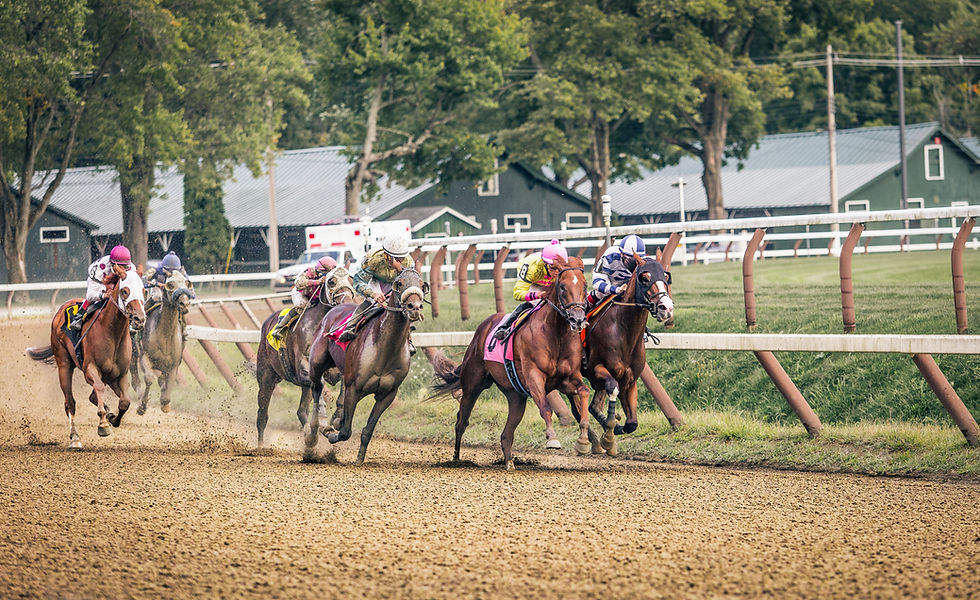 Belmont Stakes at Saratoga: All Hail The Chief