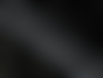 Halloween-Drama auf der Autobahn: Entlaufenes Pony sorgt für Chaos auf der A24