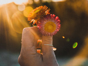 Social Proof 2.0: Beyond Reviews and Testimonials