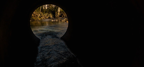 Image by Timothy L Brock