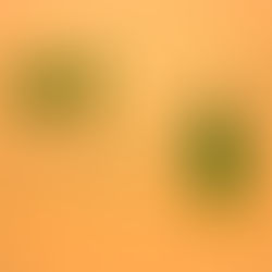 Juguetes eróticos: diseño y tecnología para combatir la rutina