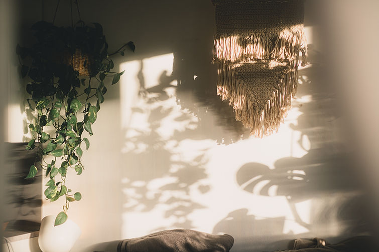 Image by Matea Brajdić