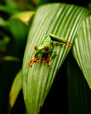 Image by Michael Romanov