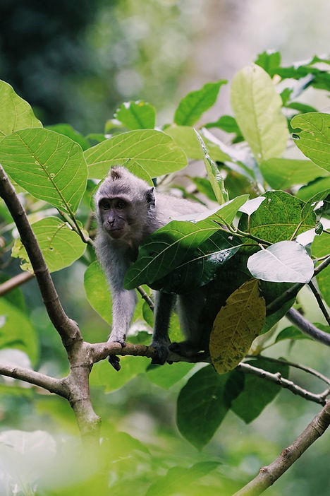 Image by Andrzej Kryszpiniuk