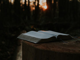 30 of my Favorite Bible Verses