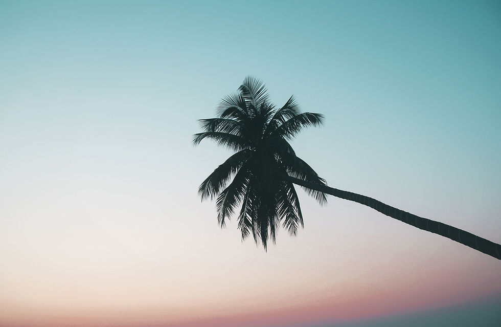 Image by Andy Do
