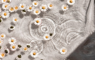 Image by Camille Brodard
