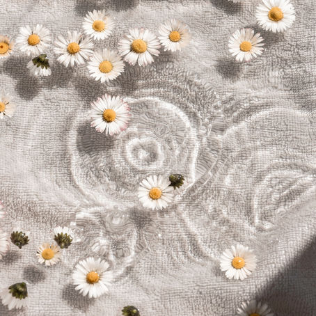 Holistic healing options featuring a calming water image with flowers. Book Hyperbaric Oxygen Therapy today