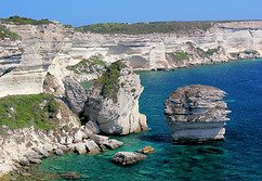 Image by Dušan Veverkolog