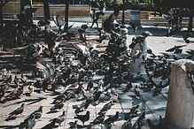 Image by Lucas Cleutjens