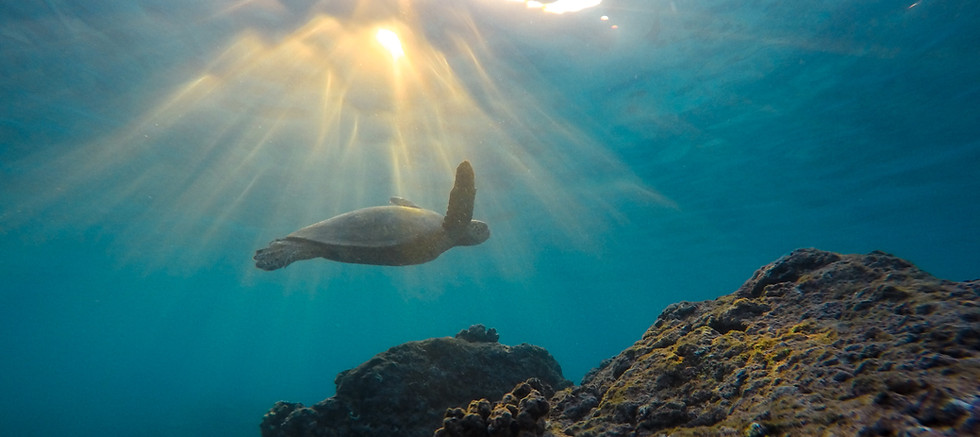 Image by Jeremy Bishop