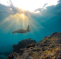 Image by Jeremy Bishop