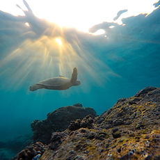 Image by Jeremy Bishop