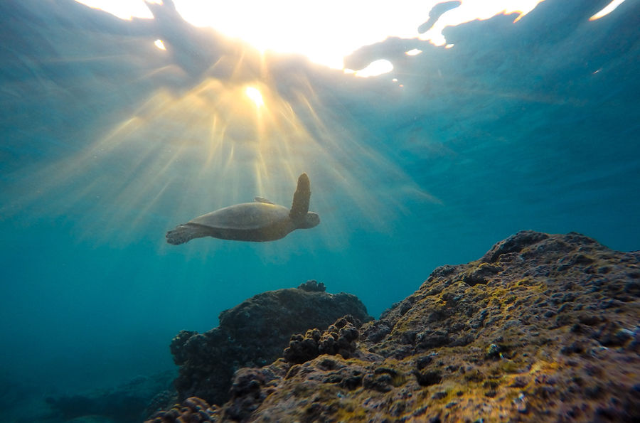 Image by Jeremy Bishop