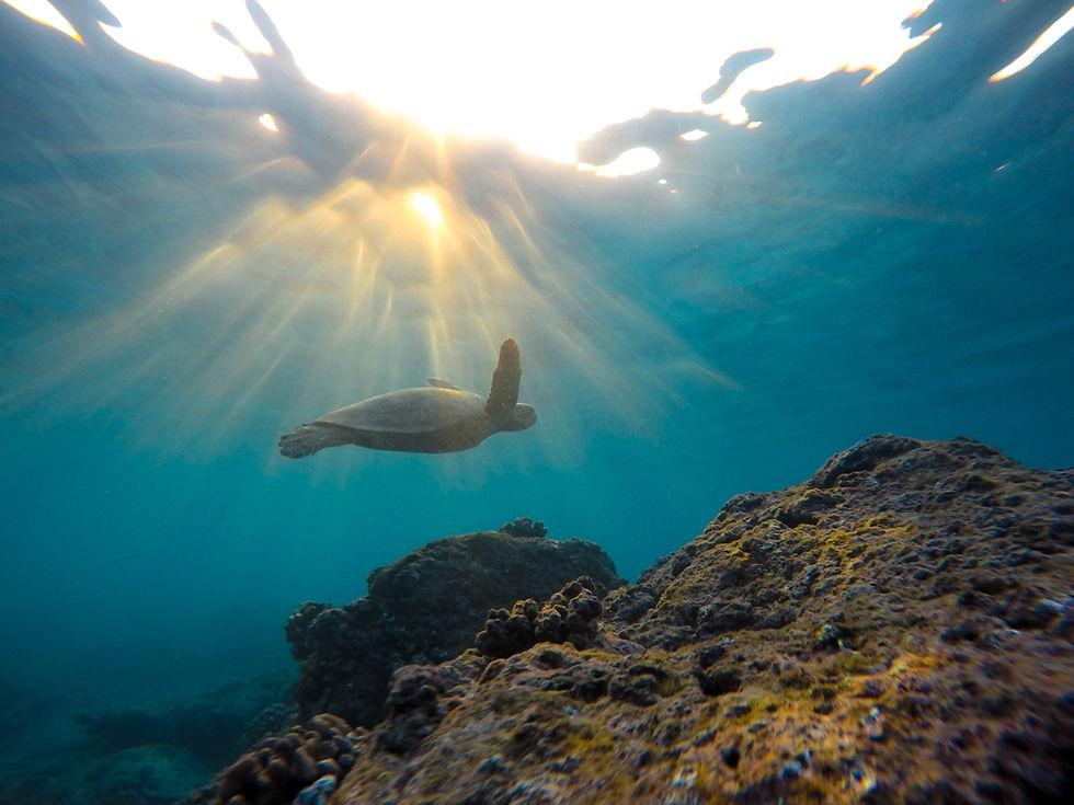 Image by Jeremy Bishop