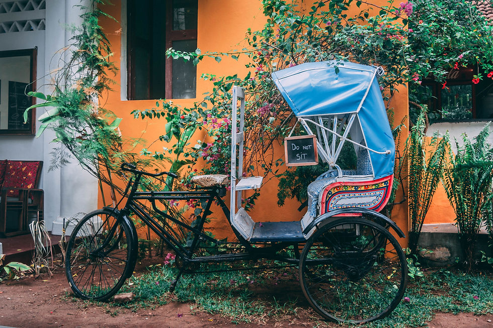 Calcutta Mornings