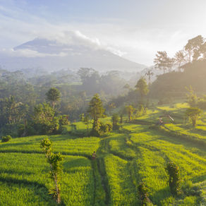 Eat, Pray, Love | 10 Days in Bali