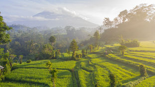 Urlaub auf Bali: Entdecke das atemberaubende Panorama von Jatiluwih | reisegedanken.com