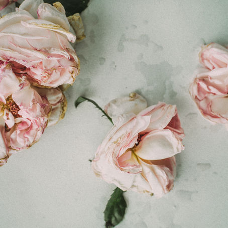 What happens when we die?