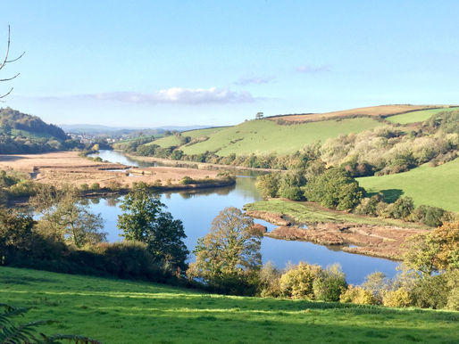 Glade Ecology Ecology Survey Tamar Valley