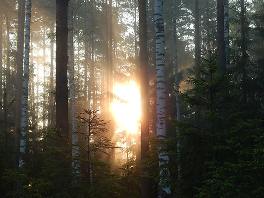 Image by Sergey Turkin