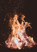 Image by Joshua Newton