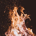 Image by Joshua Newton