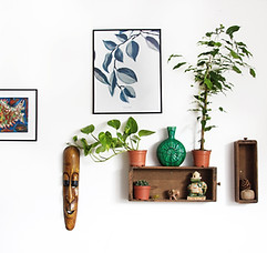 Image by Manja Vitolic