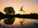 Hope needs to be grounded in action, restrained by realism, and maintained by an openness to unexpected events.