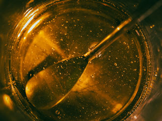 The No-Oil Diet: The Glow-Up Your Skin & Body Have Been Waiting For