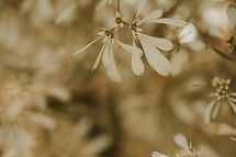 Image by Rafael Rodrigues