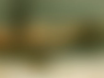 Before Christmas: When Darkness Taught Us to Gather