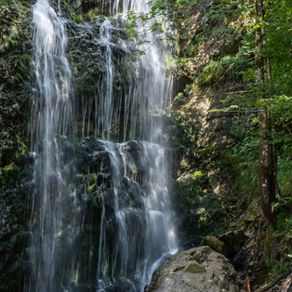 Cecilia Waterfall Hike: An Easy Beginner Hike in Cape Town