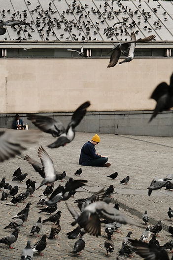 Image by Racim Amr