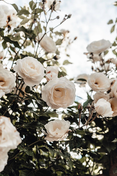 Image by Puck Milder