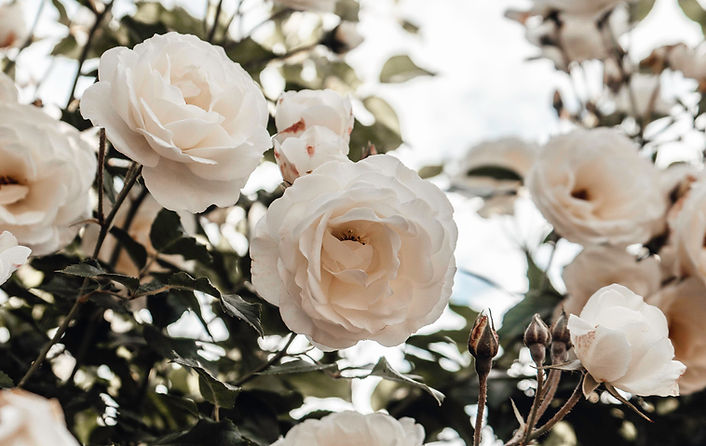 Image by Puck Milder