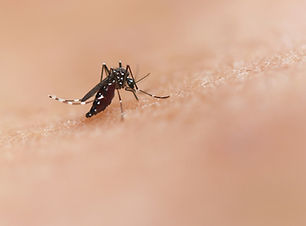 Billede af National Institute of Allergy and Infectious Diseases