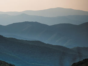 Transformative Bliss: A Journey into Happiness at the Art of Living Retreat Center